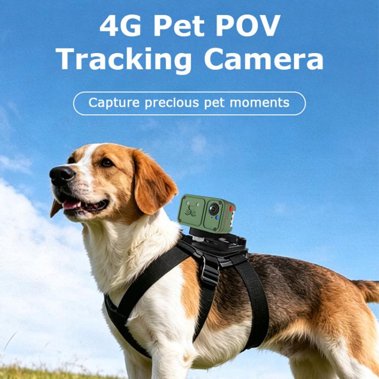 4G Outdoor Waterproof Pet GPS Location Tracker with Real-time Monitoring Camera, EU Version