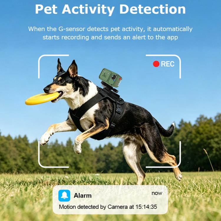 4G Outdoor Waterproof Pet GPS Location Tracker with Real-time Monitoring Camera, EU Version