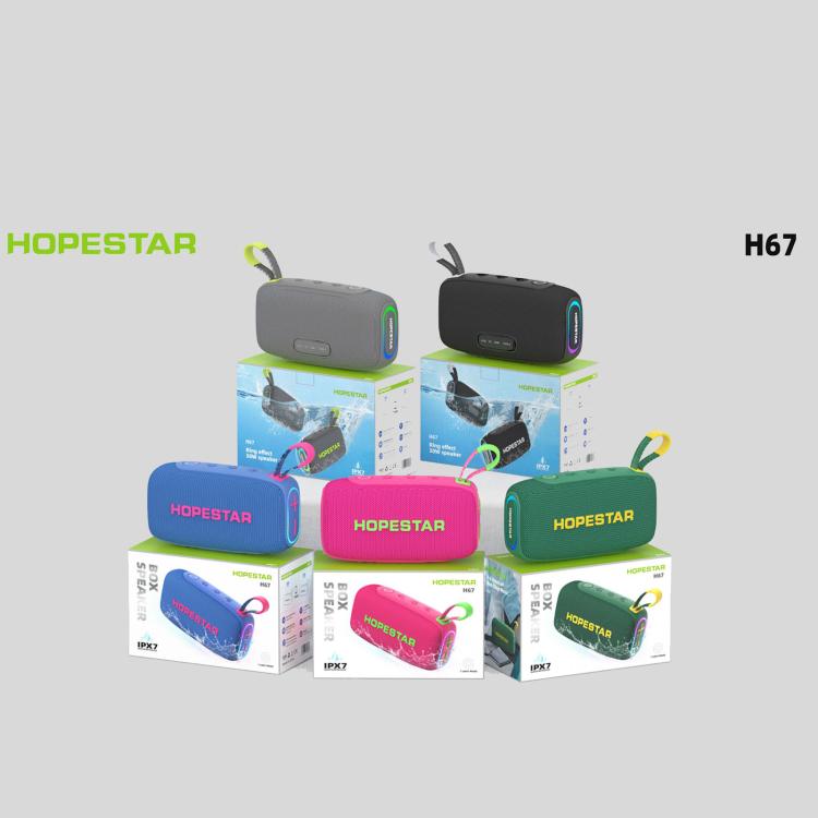 HOPESTAR H67 30W Outdoor IPX7 Waterproof Wireless Bluetooth Speaker
