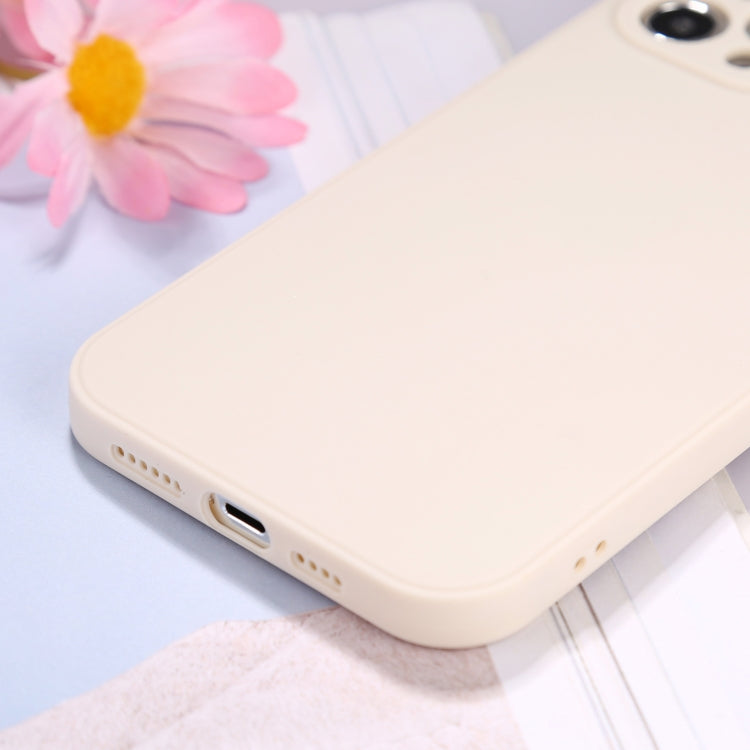 For iPhone 12 Pro Max Magic Cube Frosted Silicone Shockproof Full Coverage Protective Case