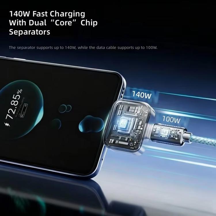 Fully Charged Automatic Power-Off Converter - Silver