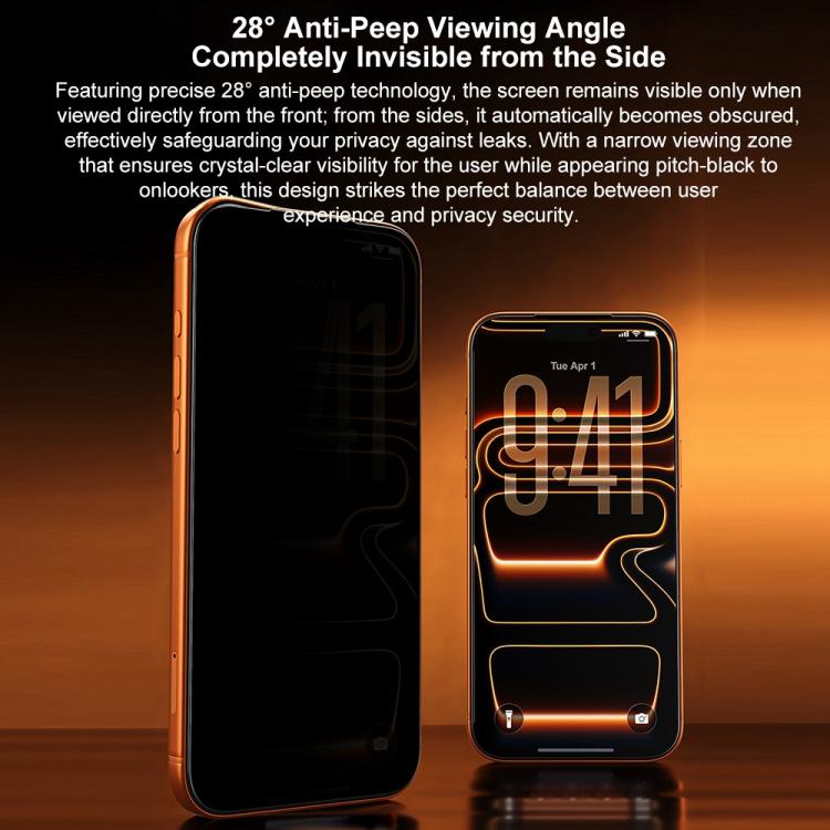 For iPhone 16 Pro Max WK WTP-138 10pcs 6D Curved Dustproof Privacy Tempered Glass Film - Black