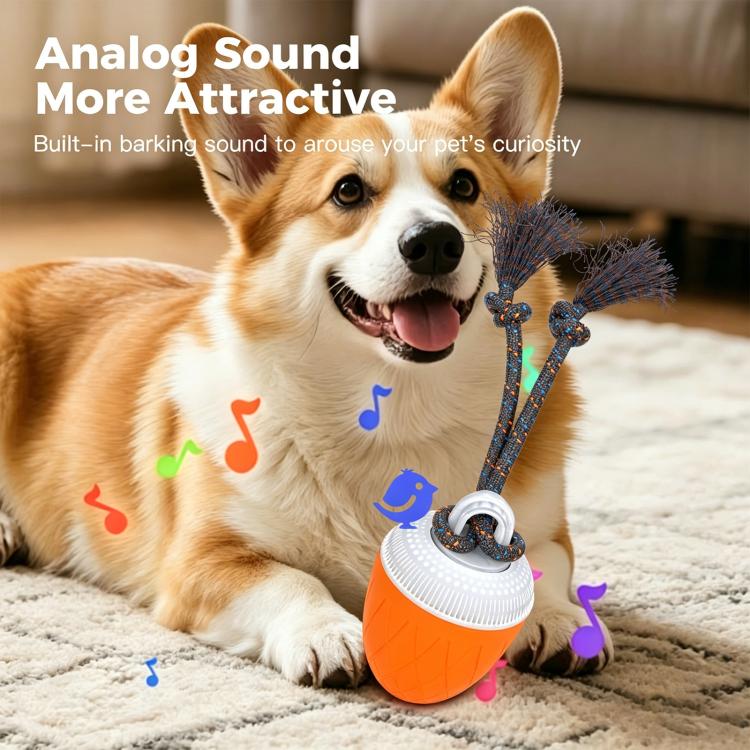 O20 Smart Automatic Pet Toy Ball Dog Training with Light & Sound & Rope