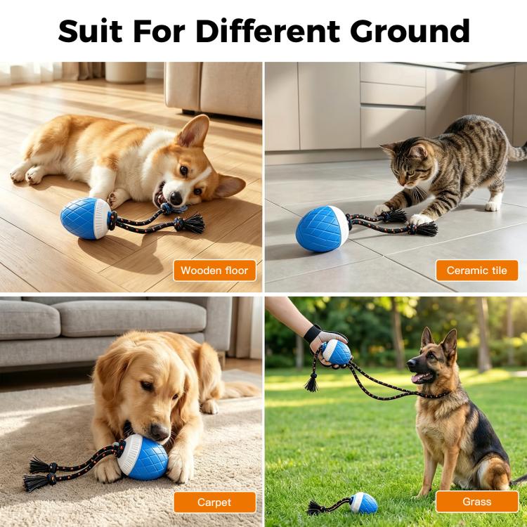 O20 Smart Automatic Pet Toy Ball Dog Training with Light & Sound & Rope