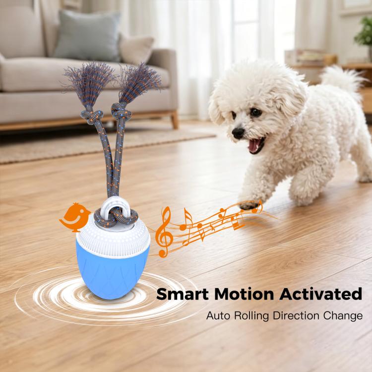 O20 Smart Automatic Pet Toy Ball Dog Training with Light & Sound & Rope