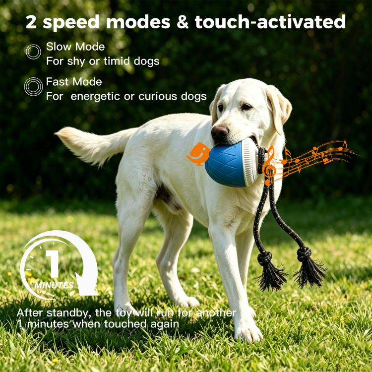 O20 Smart Automatic Pet Toy Ball Dog Training with Light & Sound & Rope