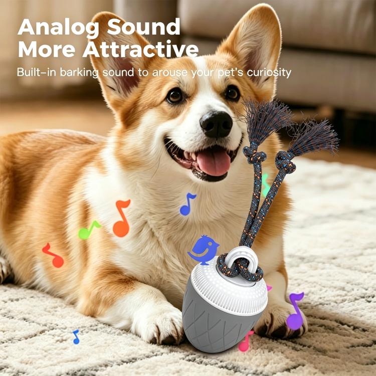 O20 Smart Automatic Pet Toy Ball Dog Training with Light & Sound & Rope