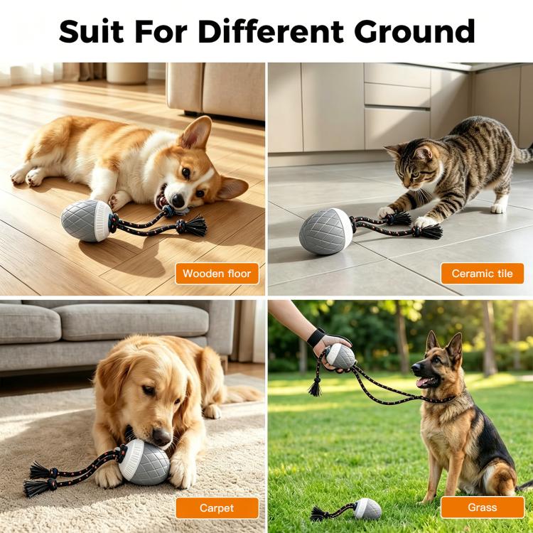 O20 Smart Automatic Pet Toy Ball Dog Training with Light & Sound & Rope