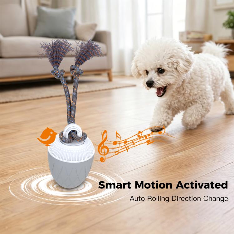 O20 Smart Automatic Pet Toy Ball Dog Training with Light & Sound & Rope