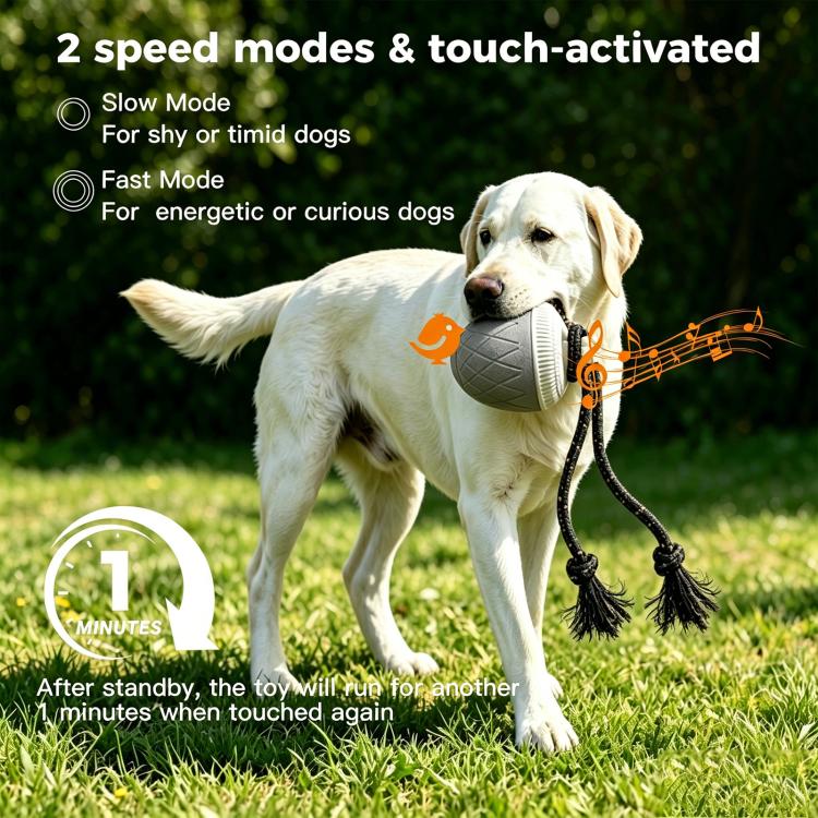 O20 Smart Automatic Pet Toy Ball Dog Training with Light & Sound & Rope