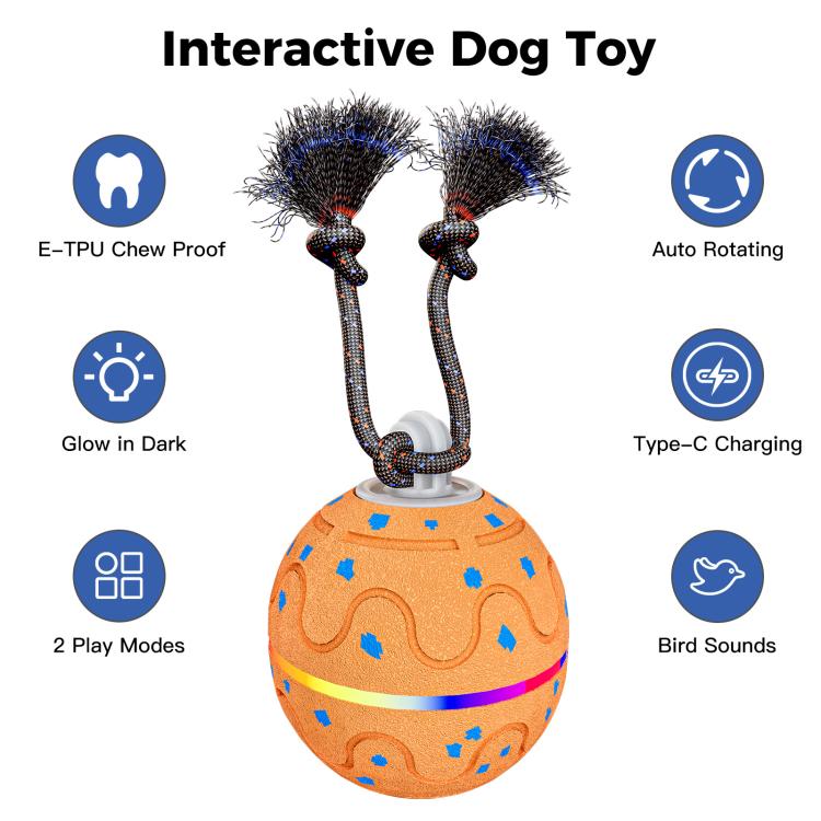 O21 Smart Automatic Pet Toy Ball Dog Training with Light & Sound & Rope