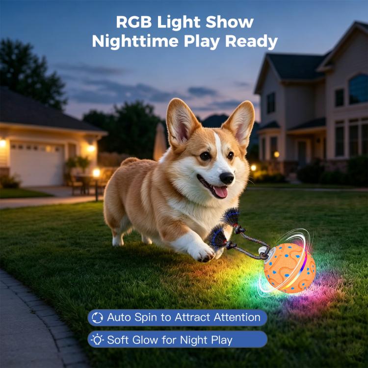O21 Smart Automatic Pet Toy Ball Dog Training with Light & Sound & Rope