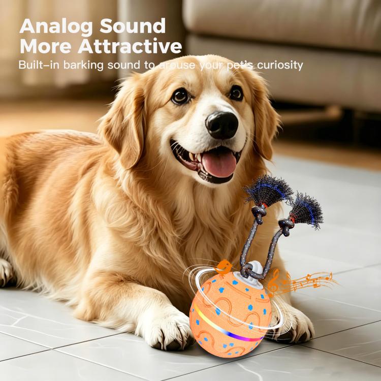O21 Smart Automatic Pet Toy Ball Dog Training with Light & Sound & Rope