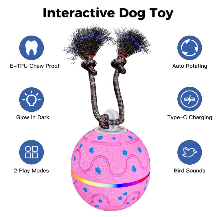 O21 Smart Automatic Pet Toy Ball Dog Training with Light & Sound & Rope