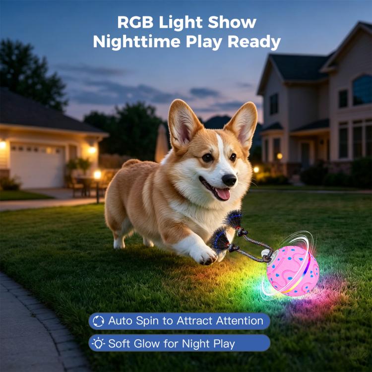 O21 Smart Automatic Pet Toy Ball Dog Training with Light & Sound & Rope