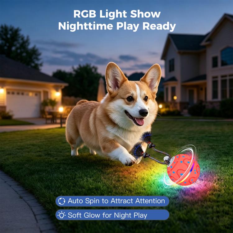 O21 Smart Automatic Pet Toy Ball Dog Training with Light & Sound & Rope