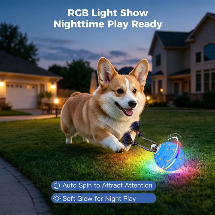 O21 Smart Automatic Pet Toy Ball Dog Training with Light & Sound & Rope