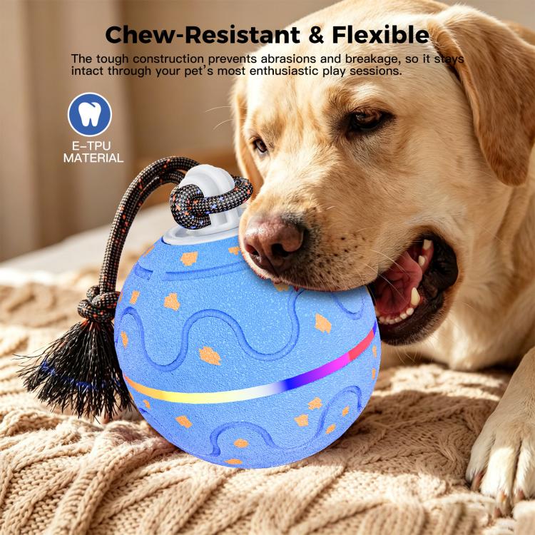 O21 Smart Automatic Pet Toy Ball Dog Training with Light & Sound & Rope