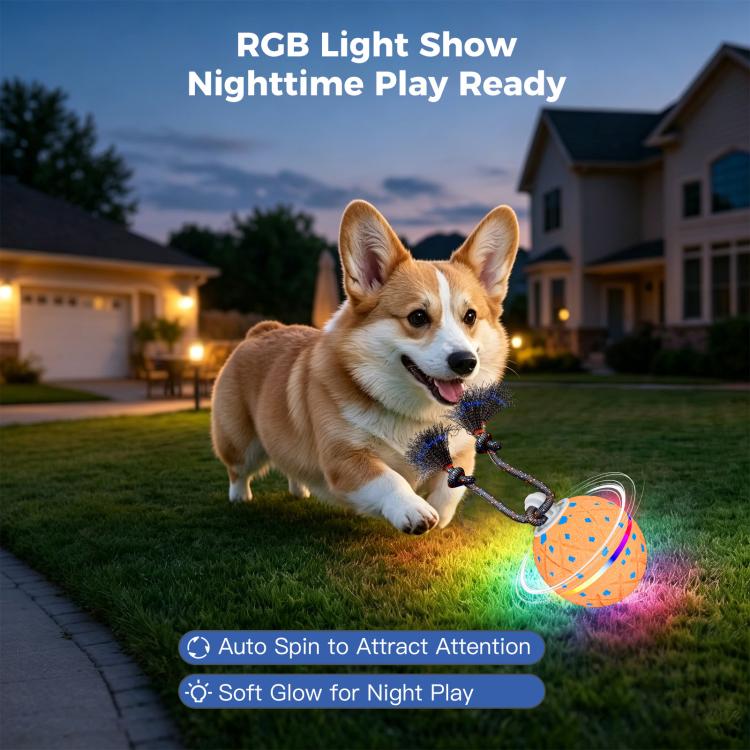 O22 Smart Automatic Pet Toy Ball Dog Training with Light & Sound & Rope