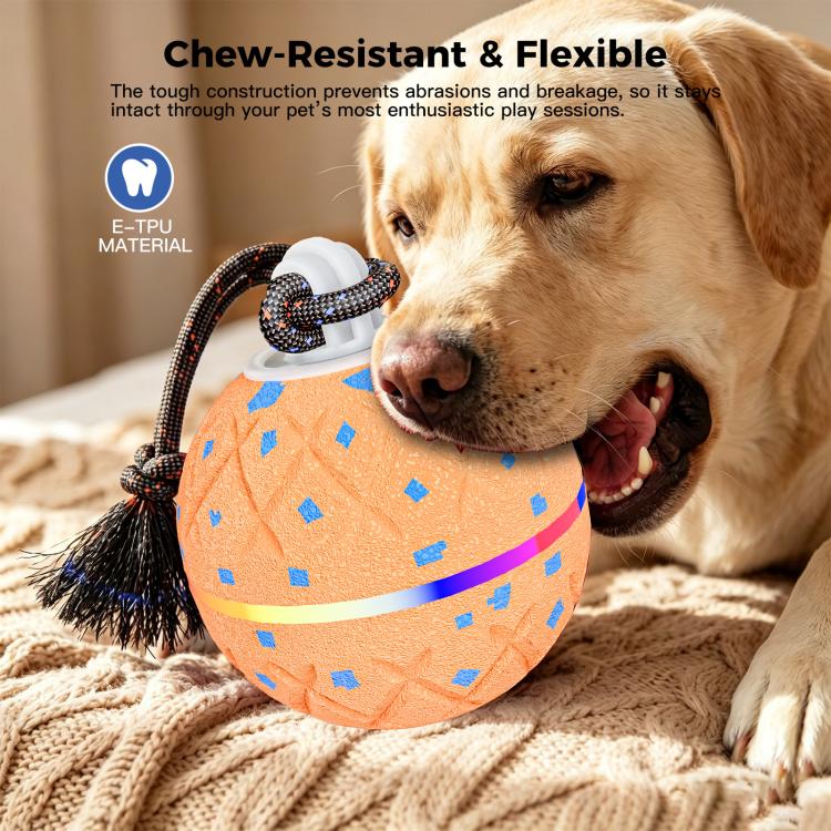 O22 Smart Automatic Pet Toy Ball Dog Training with Light & Sound & Rope
