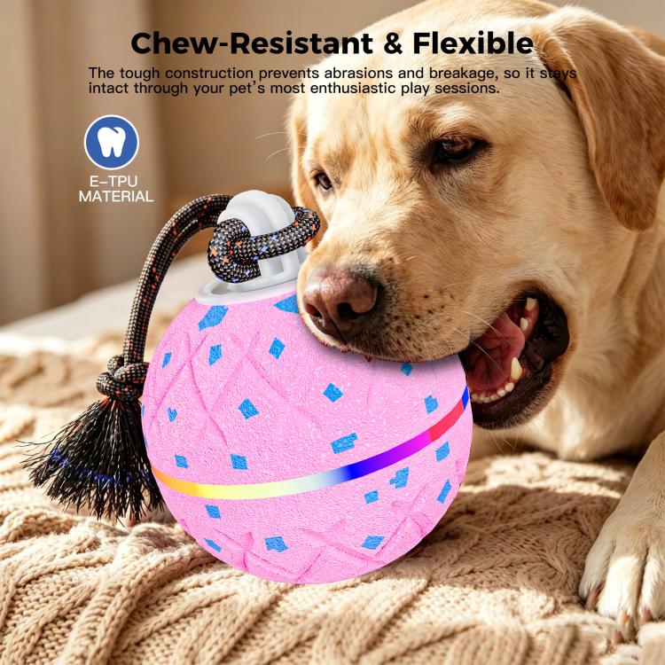 O22 Smart Automatic Pet Toy Ball Dog Training with Light & Sound & Rope