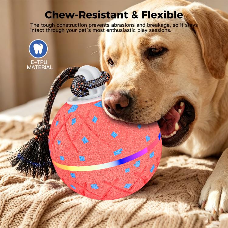 O22 Smart Automatic Pet Toy Ball Dog Training with Light & Sound & Rope