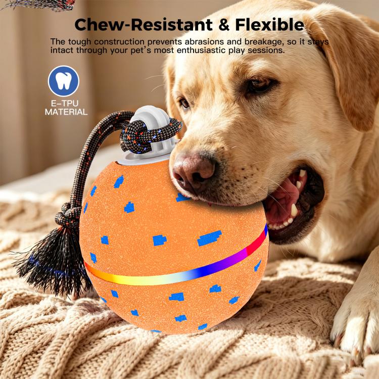 O23 Smart Automatic Pet Toy Ball Dog Training with Light & Sound & Rope