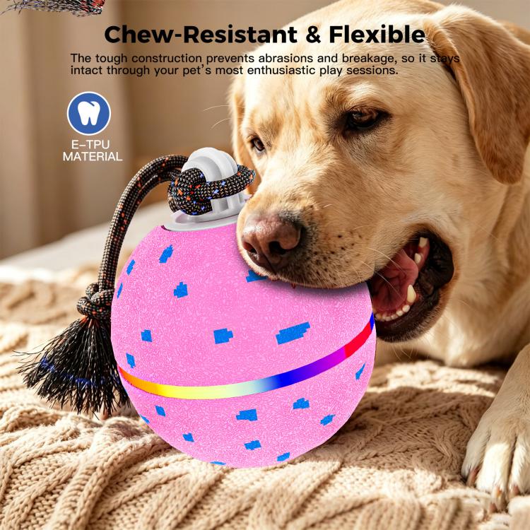 O23 Smart Automatic Pet Toy Ball Dog Training with Light & Sound & Rope