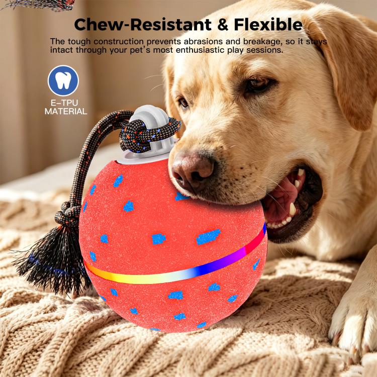 O23 Smart Automatic Pet Toy Ball Dog Training with Light & Sound & Rope