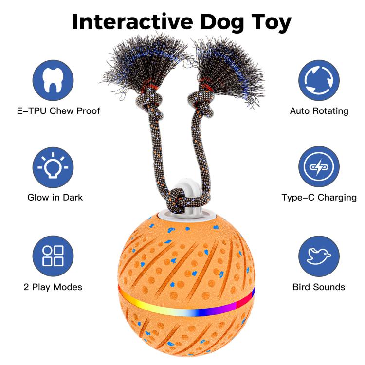 O24 Smart Automatic Pet Toy Ball Dog Training with Light & Sound & Rope