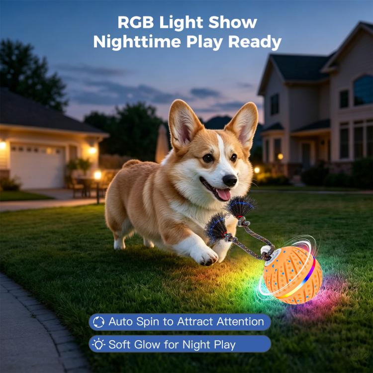 O24 Smart Automatic Pet Toy Ball Dog Training with Light & Sound & Rope