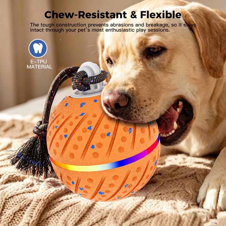 O24 Smart Automatic Pet Toy Ball Dog Training with Light & Sound & Rope