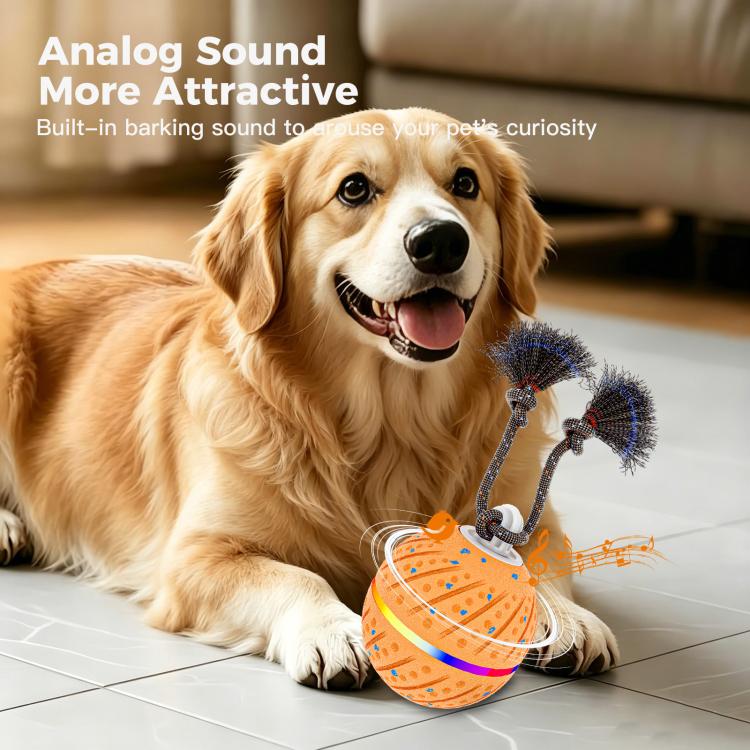 O24 Smart Automatic Pet Toy Ball Dog Training with Light & Sound & Rope