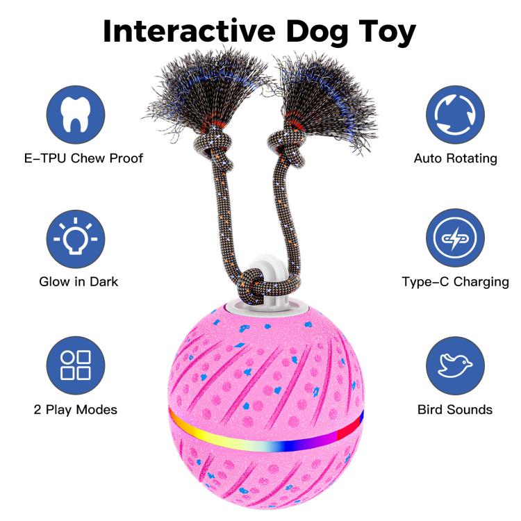 O24 Smart Automatic Pet Toy Ball Dog Training with Light & Sound & Rope