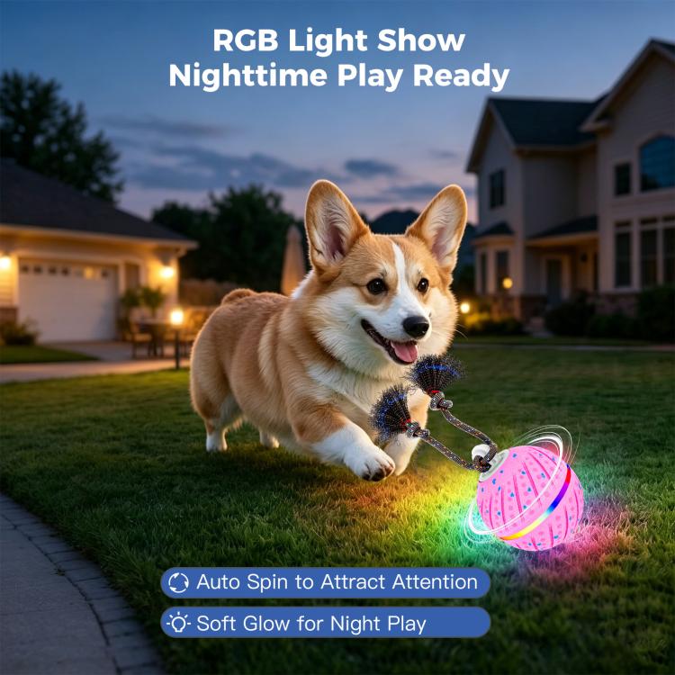 O24 Smart Automatic Pet Toy Ball Dog Training with Light & Sound & Rope