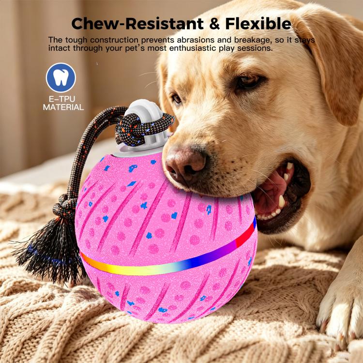 O24 Smart Automatic Pet Toy Ball Dog Training with Light & Sound & Rope