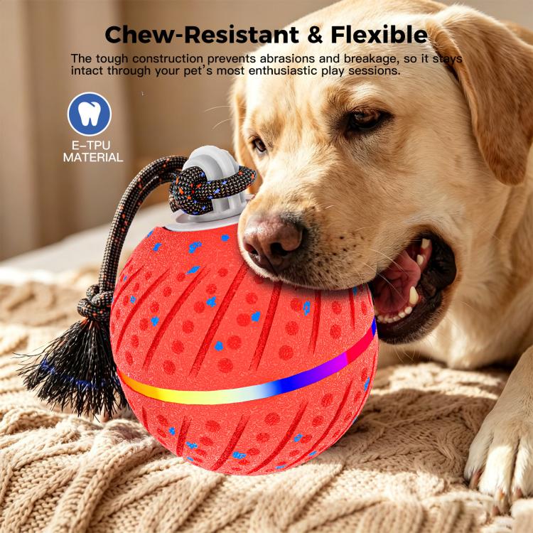O24 Smart Automatic Pet Toy Ball Dog Training with Light & Sound & Rope
