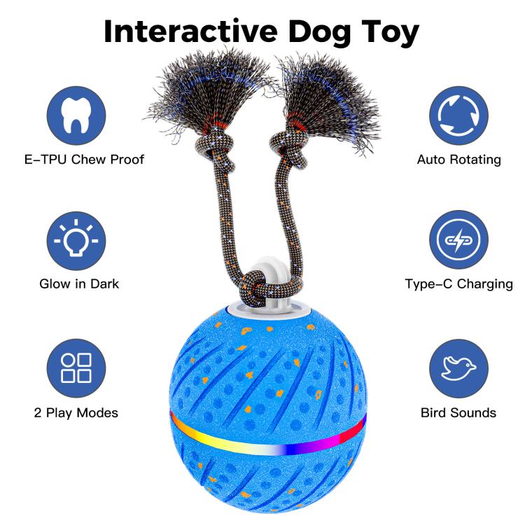 O24 Smart Automatic Pet Toy Ball Dog Training with Light & Sound & Rope