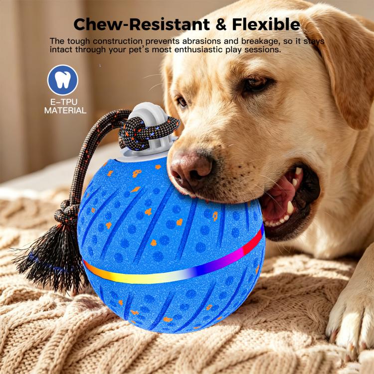 O24 Smart Automatic Pet Toy Ball Dog Training with Light & Sound & Rope