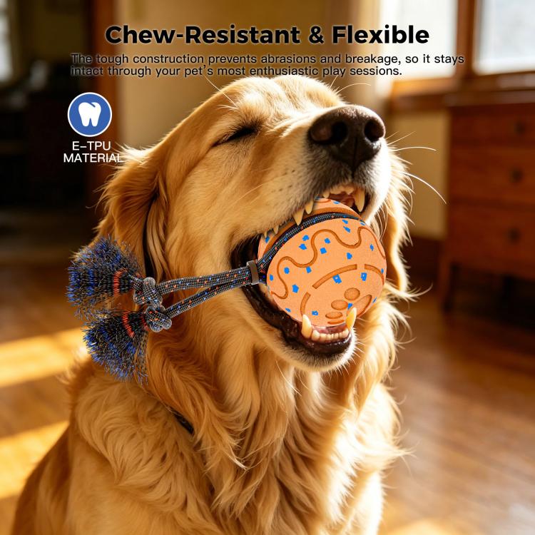 O27 Smart Automatic Pet Toy Ball Dog Training with Sound & Rope