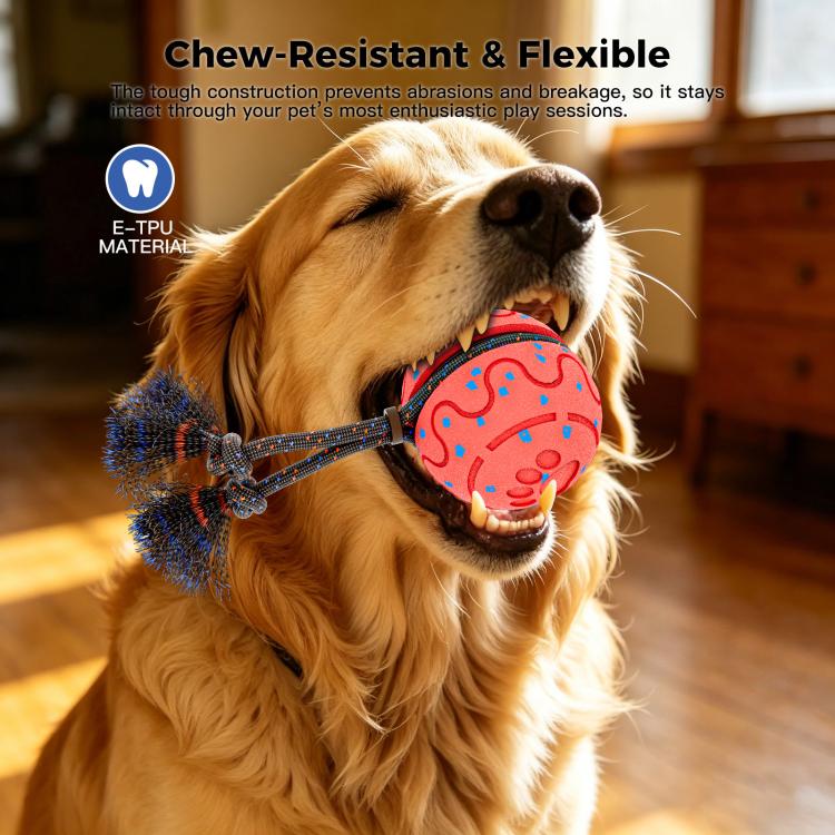 O27 Smart Automatic Pet Toy Ball Dog Training with Sound & Rope