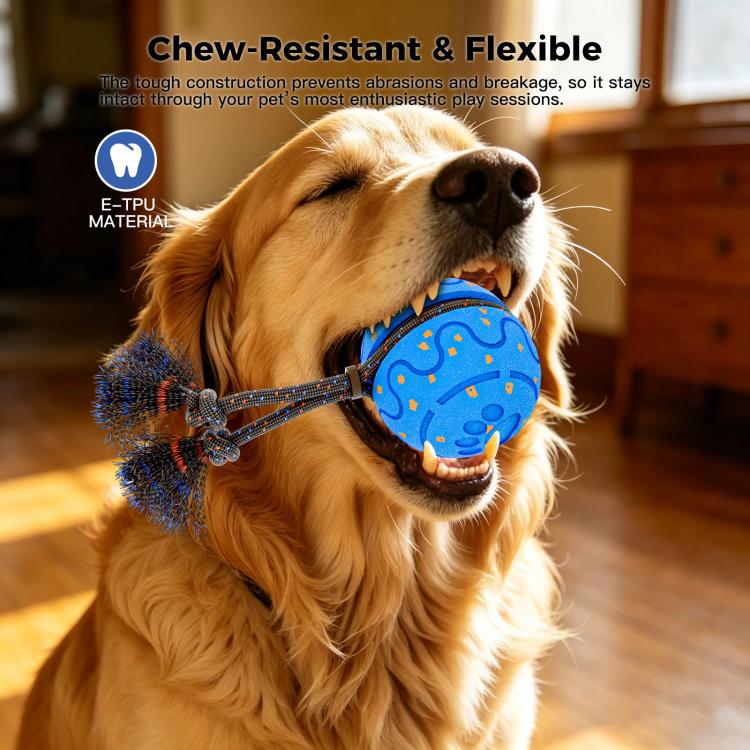 O27 Smart Automatic Pet Toy Ball Dog Training with Sound & Rope
