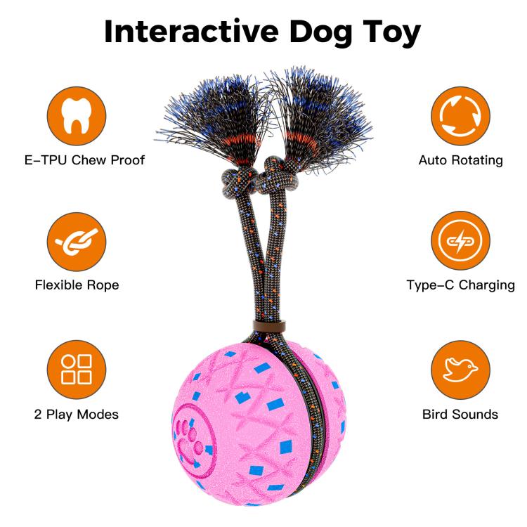 O28 Smart Automatic Pet Toy Ball Dog Training with Sound & Rope