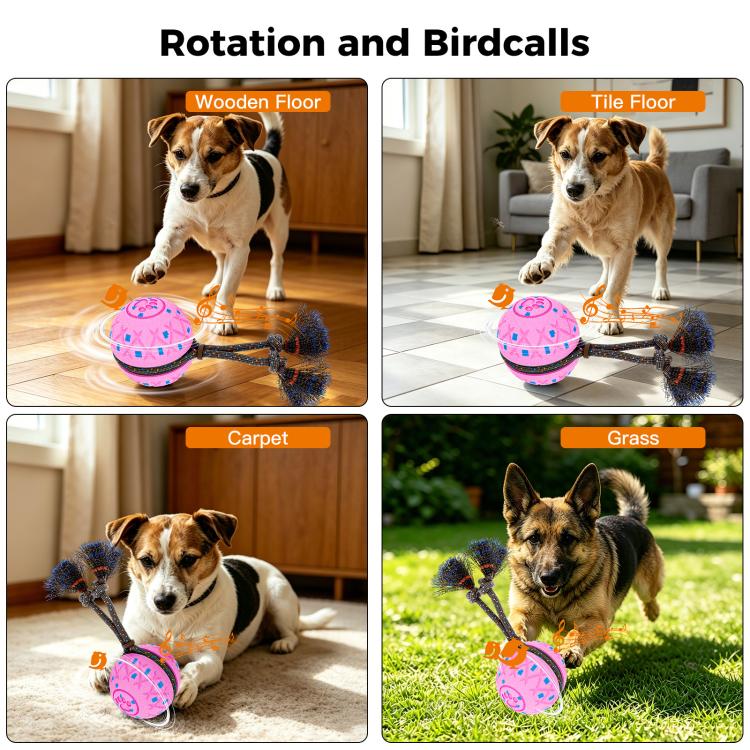 O28 Smart Automatic Pet Toy Ball Dog Training with Sound & Rope