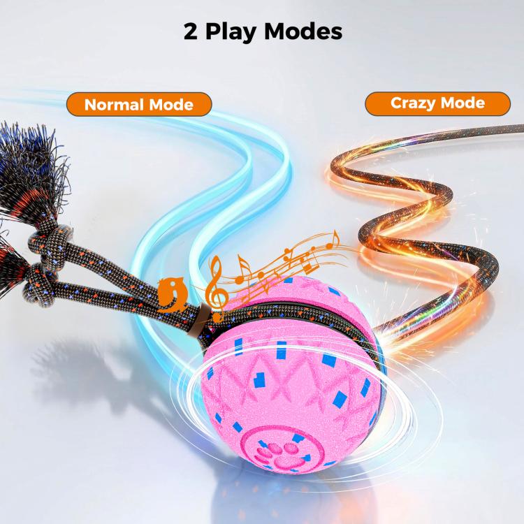O28 Smart Automatic Pet Toy Ball Dog Training with Sound & Rope