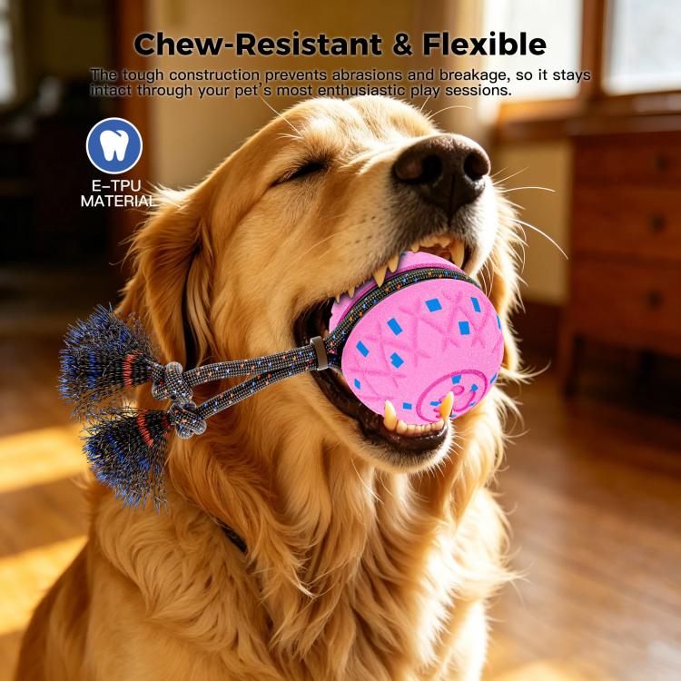 O28 Smart Automatic Pet Toy Ball Dog Training with Sound & Rope