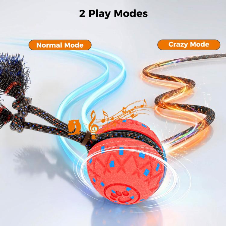 O28 Smart Automatic Pet Toy Ball Dog Training with Sound & Rope