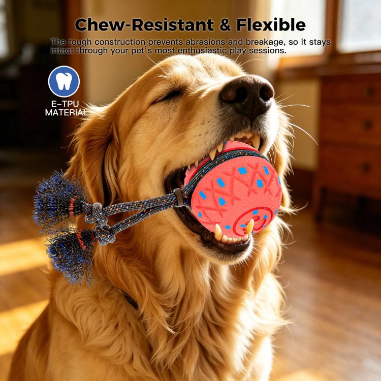 O28 Smart Automatic Pet Toy Ball Dog Training with Sound & Rope