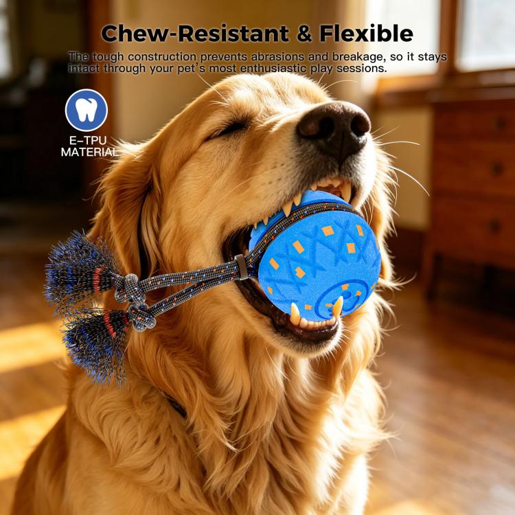 O28 Smart Automatic Pet Toy Ball Dog Training with Sound & Rope