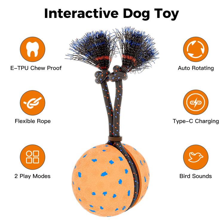 O29 Smart Automatic Pet Toy Ball Dog Training with Sound & Rope